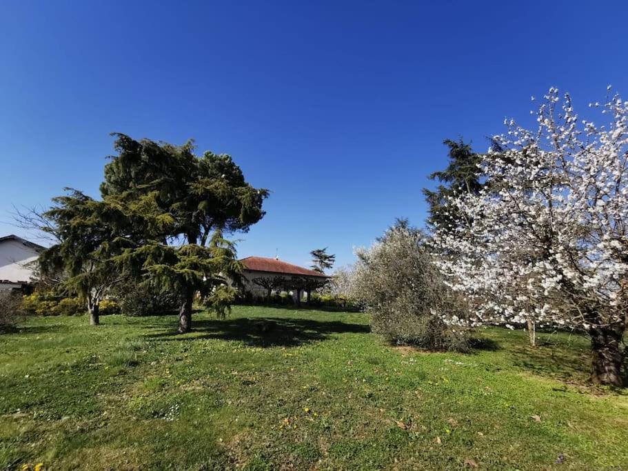 Maison Gaillacoise Εξωτερικό φωτογραφία